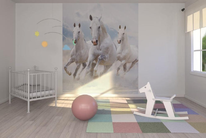 PHOTOWALL / Sky Horses (e21346)