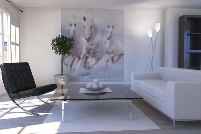 PHOTOWALL / Sky Horses (e21346)