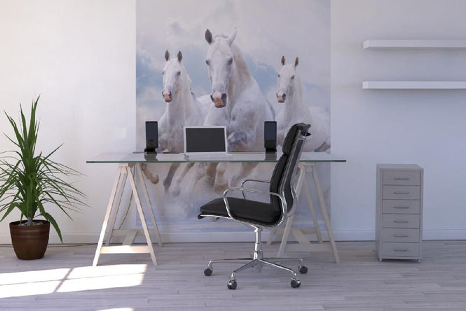 PHOTOWALL / Sky Horses (e21346)