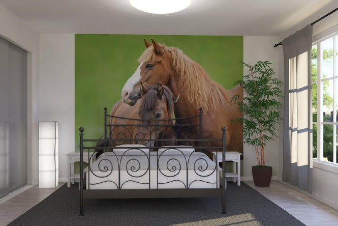 PHOTOWALL / Horses (e21328)
