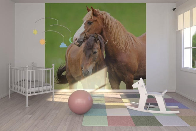 PHOTOWALL / Horses (e21328)