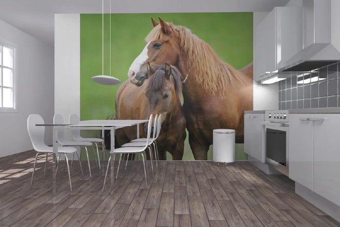 PHOTOWALL / Horses (e21328)