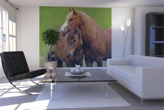 PHOTOWALL / Horses (e21328)