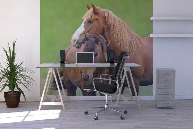PHOTOWALL / Horses (e21328)