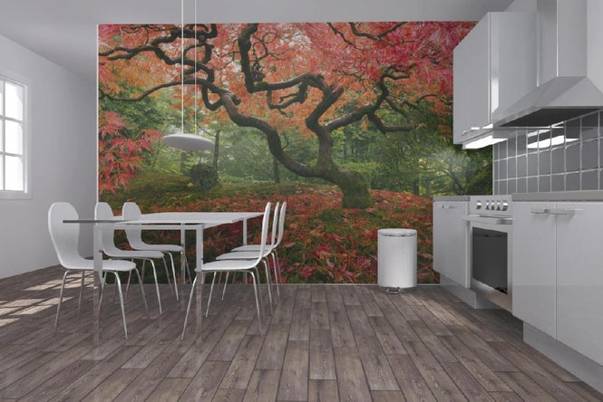 PHOTOWALL / Japanese Maple Tree (e21348)