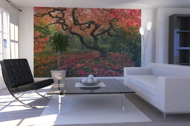 PHOTOWALL / Japanese Maple Tree (e21348)