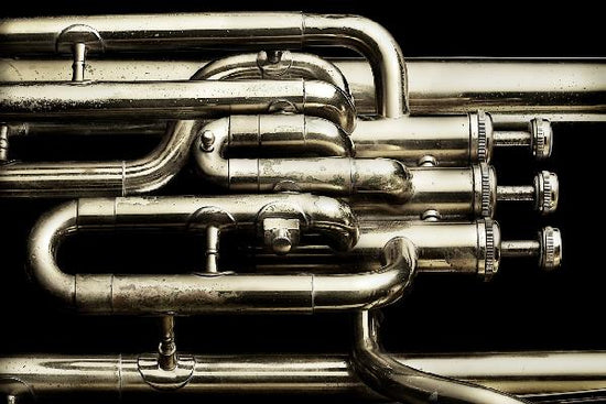 PHOTOWALL / Brass Horn (e21401)