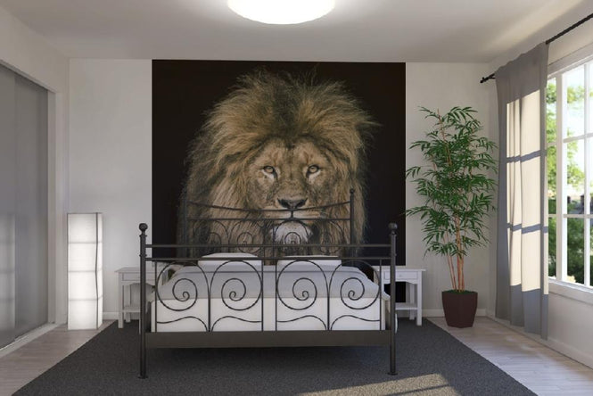 PHOTOWALL / Lion (e21458)