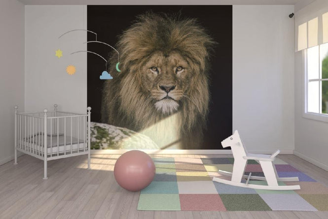 PHOTOWALL / Lion (e21458)