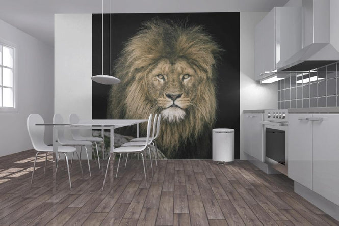 PHOTOWALL / Lion (e21458)