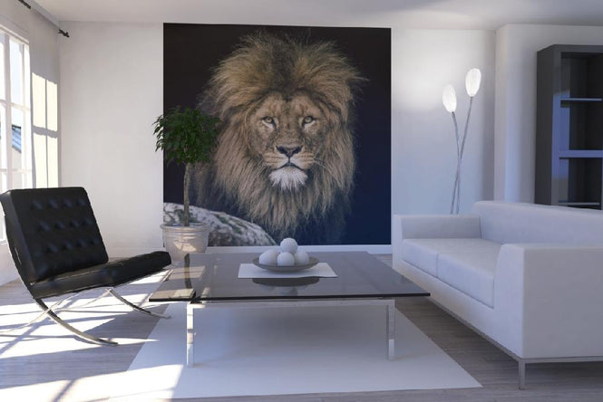 PHOTOWALL / Lion (e21458)