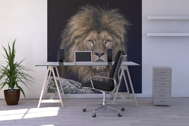 PHOTOWALL / Lion (e21458)