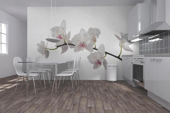 PHOTOWALL / White Orchid Stem - Purple (e21541)