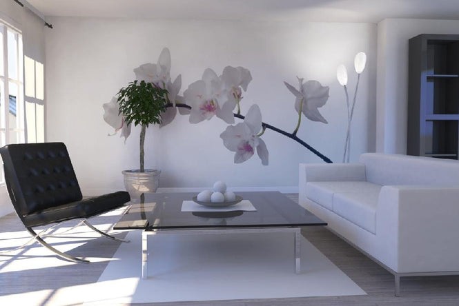 PHOTOWALL / White Orchid Stem - Purple (e21541)