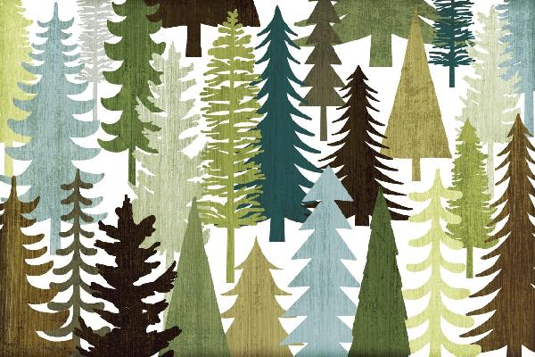 PHOTOWALL / Woodland Trees (e21596)