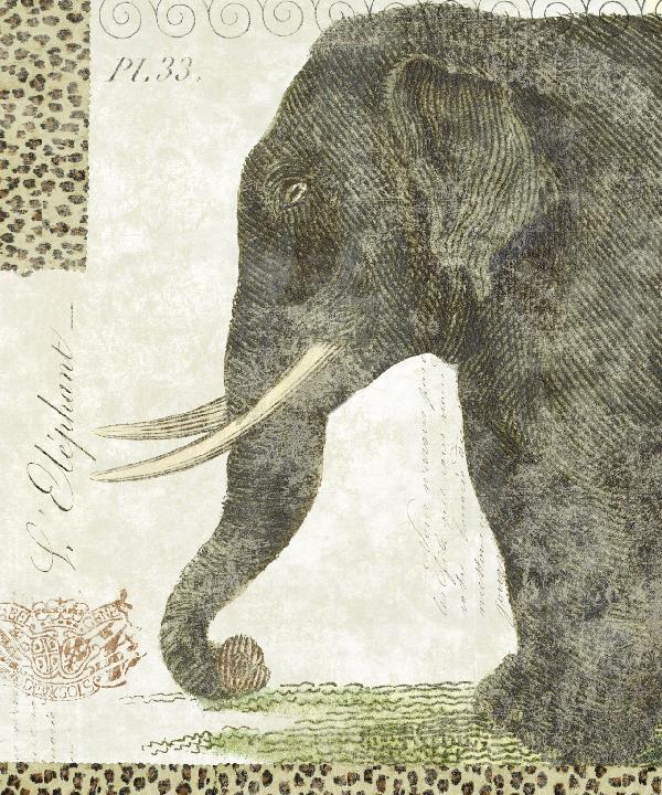 PHOTOWALL / L Elephant (e21623)