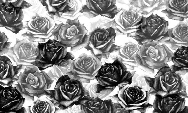 PHOTOWALL / My Black Roses (e21650)