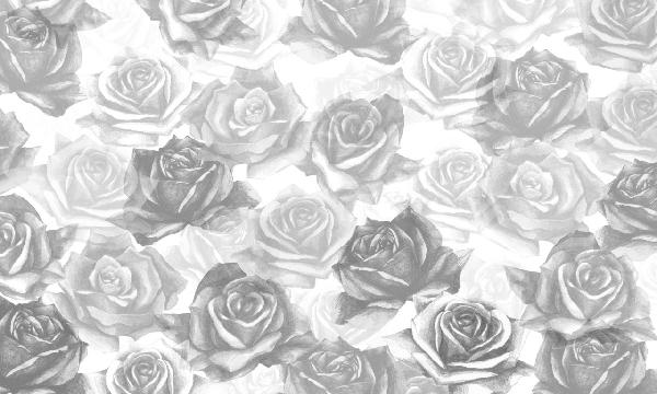 PHOTOWALL / My Grey Roses (e21651)