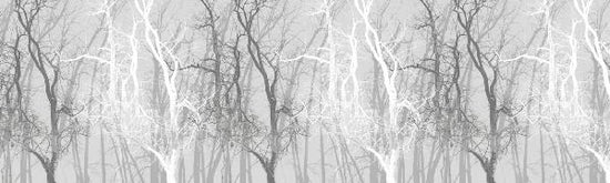 PHOTOWALL / Wander Trees Charcoal (e21775)
