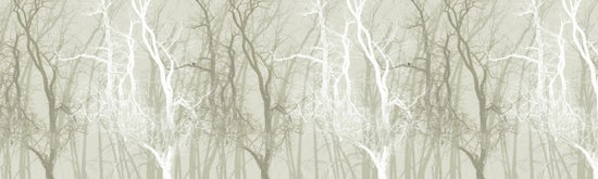 PHOTOWALL / Wander Trees Sepia (e21777)