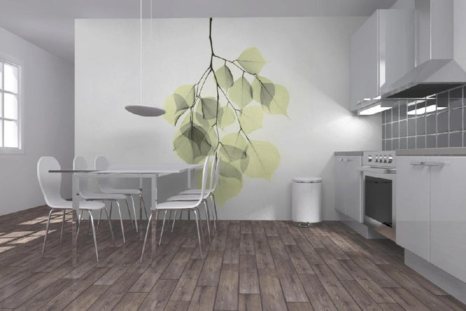 PHOTOWALL / Dalbergia (e21792)