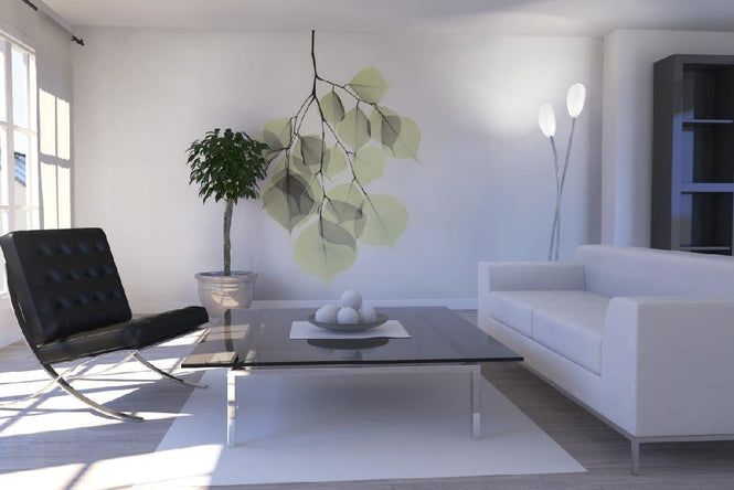 PHOTOWALL / Dalbergia (e21792)