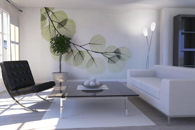 PHOTOWALL / Eucalyptus (e21794)