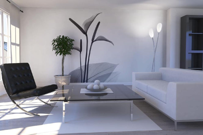 PHOTOWALL / Flamingo Flower (e21797)