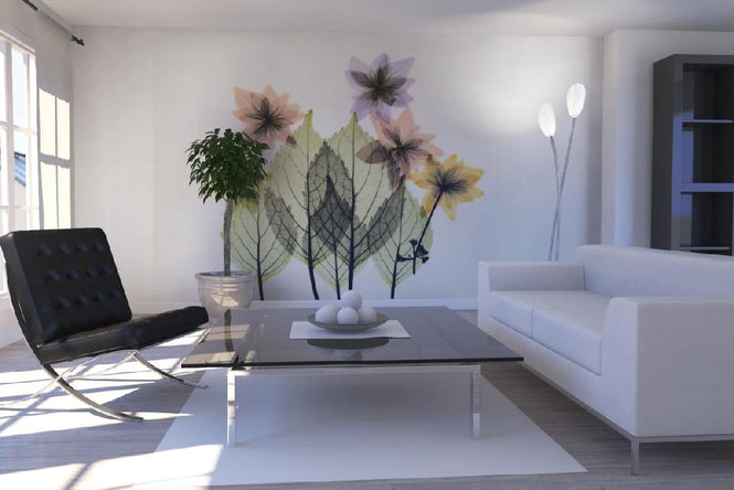 PHOTOWALL / Shooting Star (e21806)