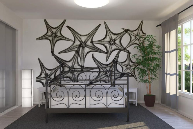 PHOTOWALL / Starfish (e21810)