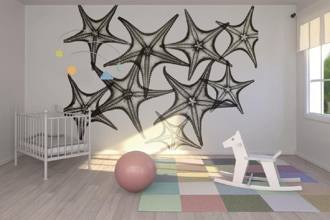 PHOTOWALL / Starfish (e21810)