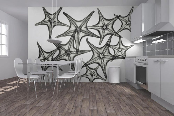 PHOTOWALL / Starfish (e21810)