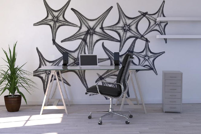 PHOTOWALL / Starfish (e21810)