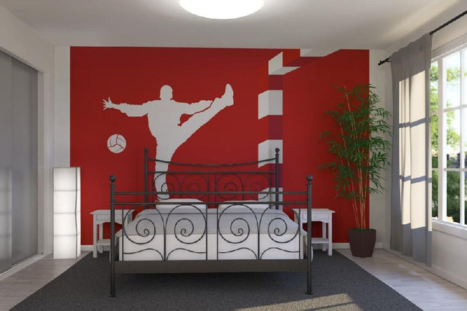 PHOTOWALL / Handboll - Red (e21964)