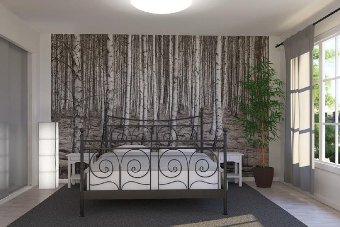 PHOTOWALL / Birch Forest (e22029)