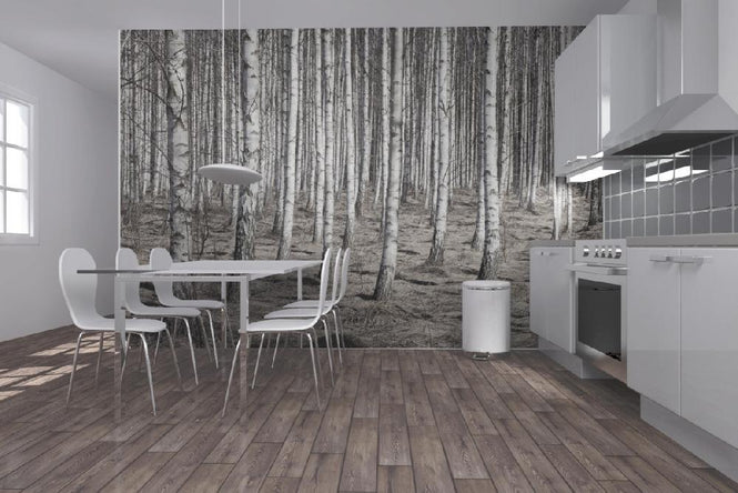PHOTOWALL / Birch Forest (e22029)