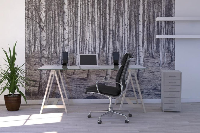PHOTOWALL / Birch Forest (e22029)