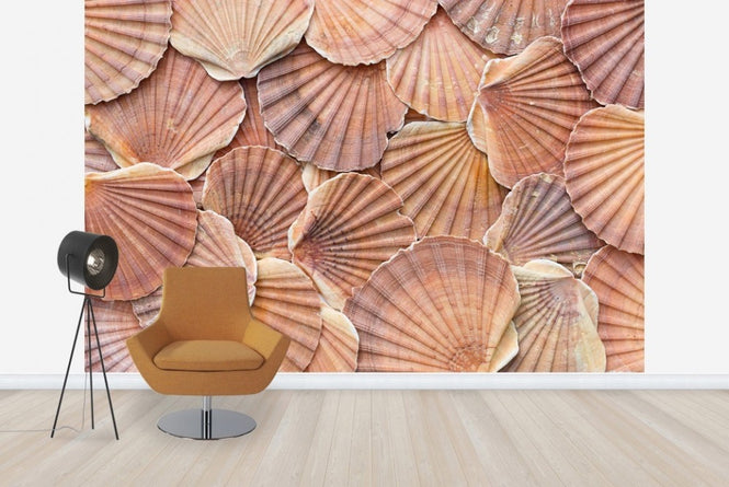 PHOTOWALL / Scallops Mussla (e22032)