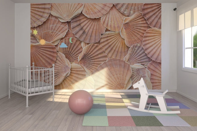 PHOTOWALL / Scallops Mussla (e22032)