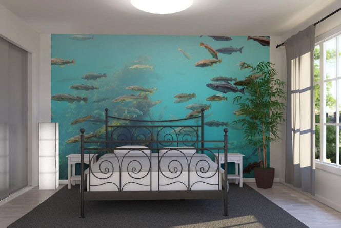 PHOTOWALL / Circling Fish (e22318)