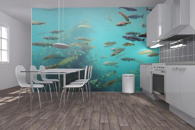 PHOTOWALL / Circling Fish (e22318)