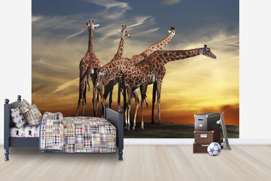 PHOTOWALL / Giraffes and a View (e22387)