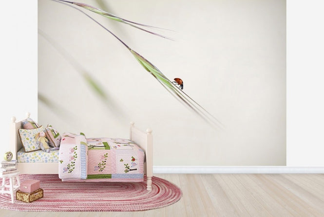 PHOTOWALL / Ladybug in Focus (e22388)