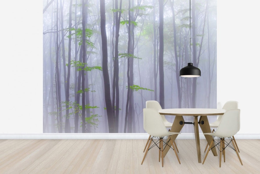 PHOTOWALL / Misty Woods (e22390)