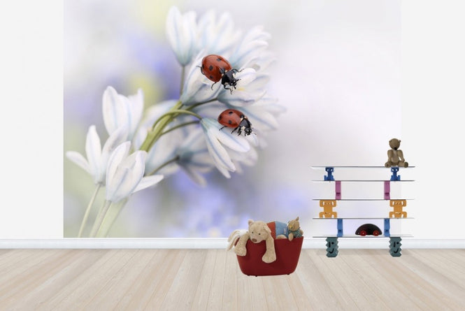 PHOTOWALL / Ladybugs on White Flower (e22394)