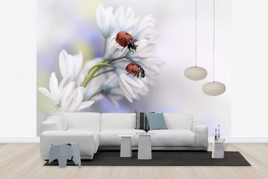 PHOTOWALL / Ladybugs on White Flower (e22394)