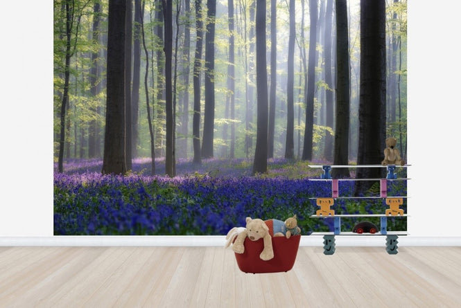 PHOTOWALL / Bluebells (e22406)