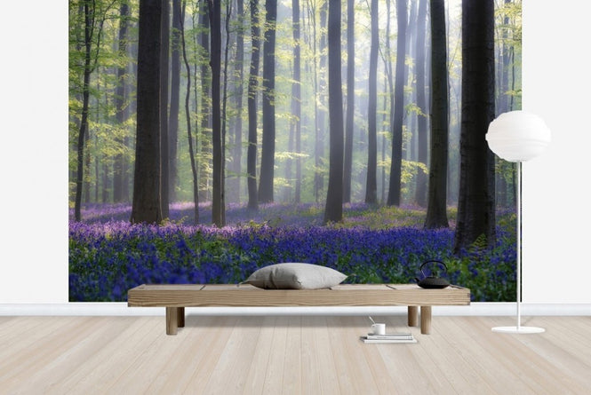 PHOTOWALL / Bluebells (e22406)