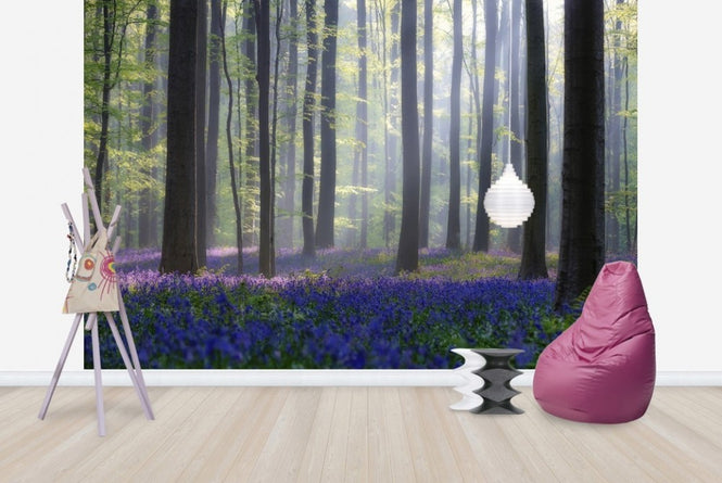 PHOTOWALL / Bluebells (e22406)