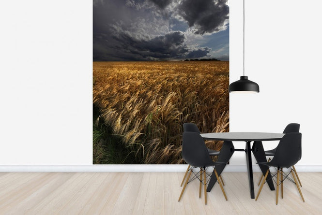 PHOTOWALL / Worried Sky (e22418)